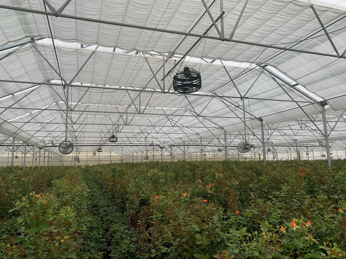 Desestratificador de aire TECNA ELITURBO-TECAIELI01_10